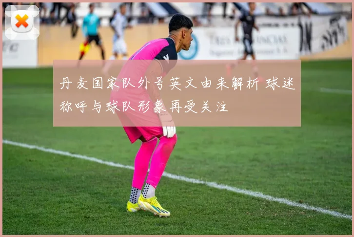 丹麦国家队外号英文由来解析 球迷称呼与球队形象再受关注