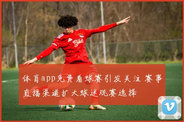 体育app免费看球赛引发关注 赛事直播渠道扩大球迷观赛选择