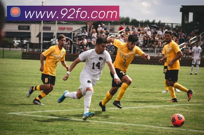 App Interface Preview